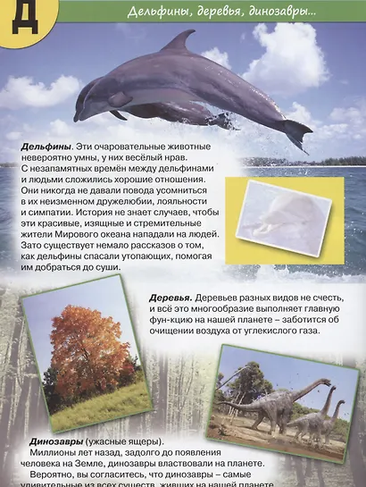 Планета Земля от А до Я - фото 5