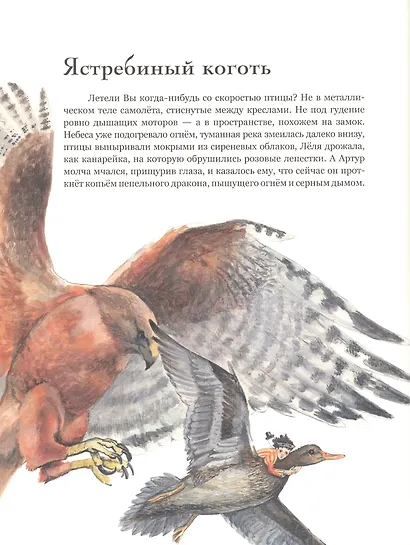 Прогулка с Драконом - фото 5