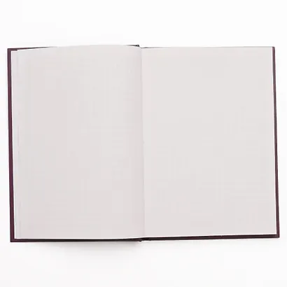 Книга для записей А5 100л кл. "Фэнтези (Эксклюзив)" 7БЦ, мат.лам, тиснение фольгой "Золото", офсет - фото 3