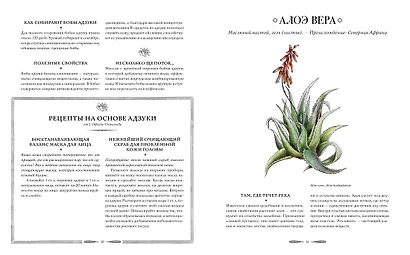 Атлас естественной красоты. Натуральные ингредиенты для ухода за кожей и приумножения вашей красоты - фото 4