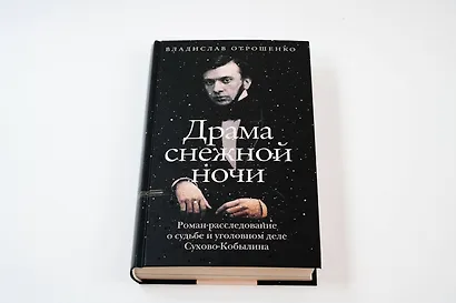 Драма снежной ночи: Роман-расследование о судьбе и уголовном деле Сухово-Кобылина - фото 7