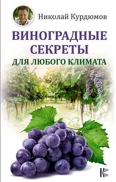 Виноградные секреты для любого климата - фото 1