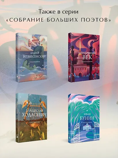 Комплект Книги и шоппер ("Серебряный век. Стихотворения", "Символисты. Стихотворения", "Страшные стихотворения" и Шопер "Лучше бы я сейчас читал...") - фото 6