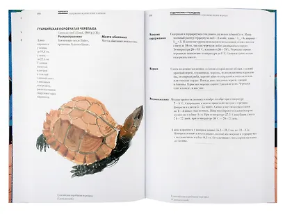 Черепахи. Содержание и разведение в неволе - фото 4
