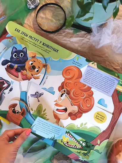 Всё о зубах. Открывай и изучай! - фото 12