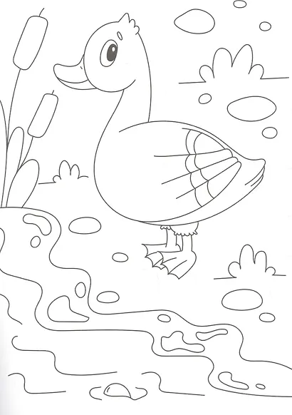 РАСКРАСКА А4 эконом. ДОМАШНИЕ ЖИВОТНЫЕ - фото 2