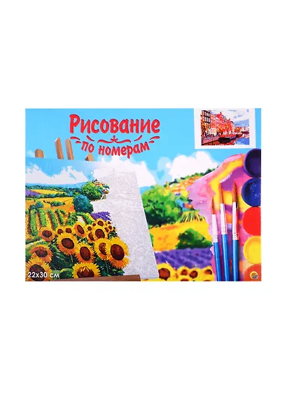Набор для раскрашивания по номерам ТМ Рыжий Кот Холст с красками 22х30см Яркие дома у канала (Арт. HS283) - фото 2