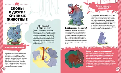 Дикие животные - фото 4