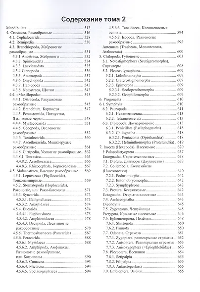 Зоология беспозвоночных. В двух томах. Том 2. От артропод до иглокожих и хордовых - фото 3