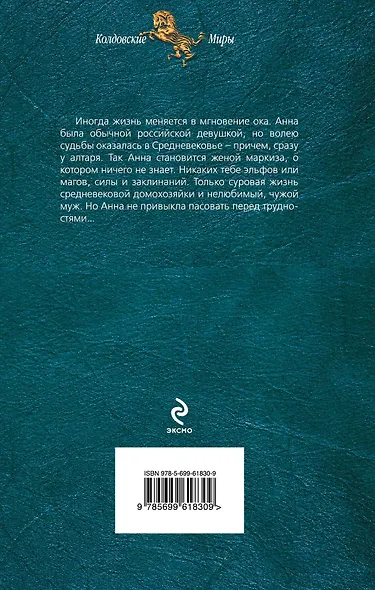 Записки средневековой домохозяйки - фото 2