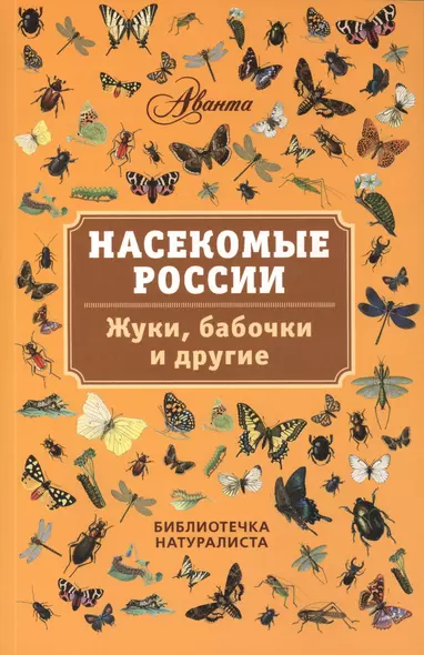 Насекомые России. Жуки, бабочки и другие - фото 1