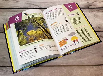 Подарок школьнику. Ни дня без новых знаний! - фото 7