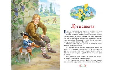 Кот в сапогах - фото 4