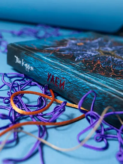 Улей - фото 12