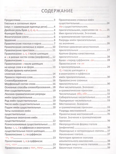 Необходимый минимум. Русский язык - фото 2