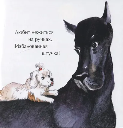 День рождения собаки - фото 5