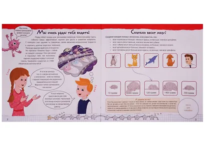 Тренируй свой мозг. Тренажер для развит способност - фото 2