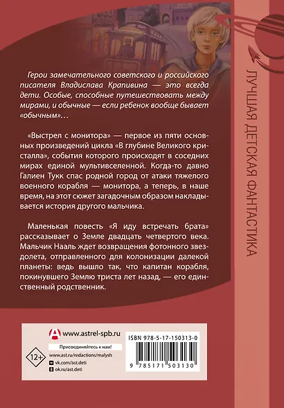 Выстрел с монитора. Я иду встречать брата - фото 2