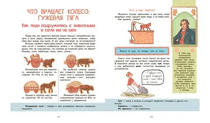 Куда катится колесо - фото 5