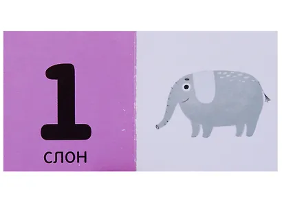 15 книжек-кубиков. Познаем мир вместе. Мой первый счет - фото 2