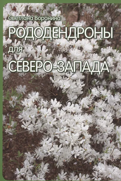 Рододендроны для Северо-Запада - фото 1