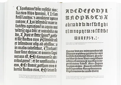 Образцы шрифтов - фото 2