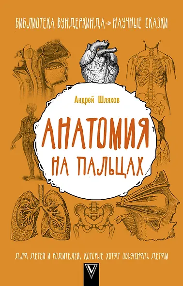 Анатомия на пальцах. Для детей и родителей, которые хотят объяснять детям - фото 1