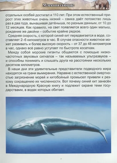 Гиганты животного мира. Энциклопедия - фото 5