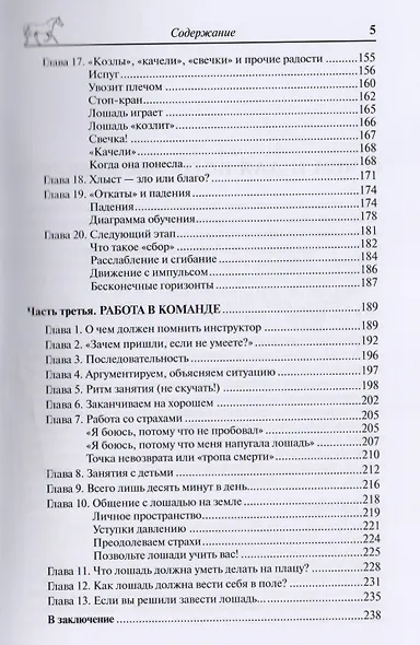 Конь, всадник, инструктор: как понять друг друга? - фото 4