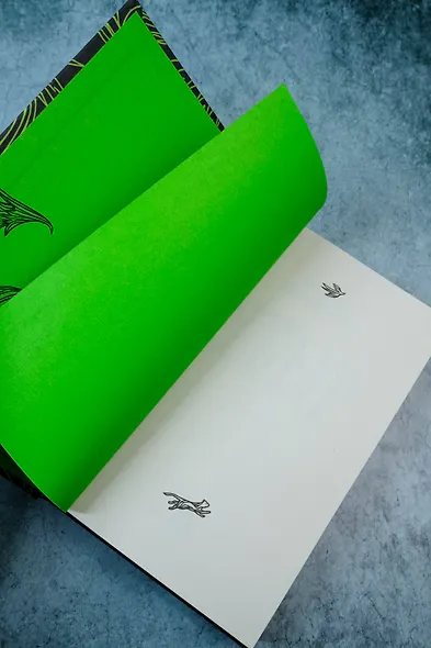 Убыр: дилогия - фото 8