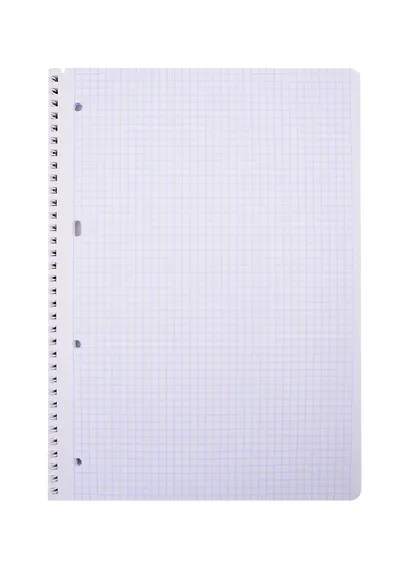 Тетрадь в клетку Hatber, "Блеск столиц", А4, 96 листов, в ассортименте - фото 2