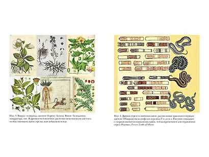 Яды, микробы, животные, адский огонь. История биологического и химического оружия Древнего мира - фото 4