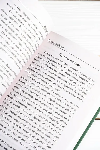 Колымские рассказы - фото 9