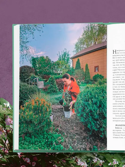 Секреты малоуходного сада. Как создать дизайн участка с неприхотливыми декоративными растениями - фото 11