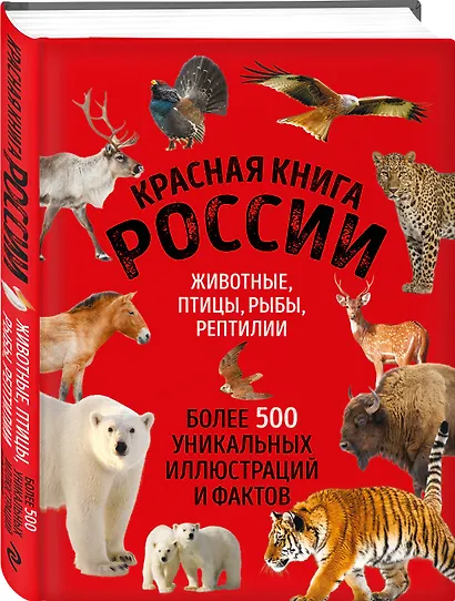 Красная книга России. Большой формат. Более 500 уникальных иллюстраций и фактов (новое издание) (основной) - фото 3