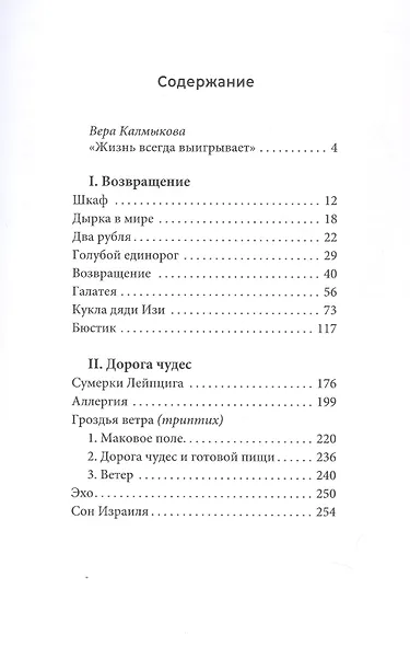 Голубой единорог и другие истории. Сборник рассказов - фото 3