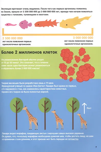 Эволюция. Инфографика - фото 6
