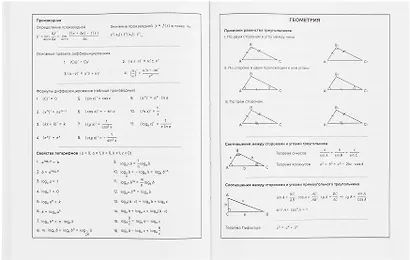 Дневник шк. "Фразы с характером. Нет слов" тв.переплет,полноцв.печать, ламинация "софт-тач" вельвет, пантон, универс.шпаргалка - фото 6