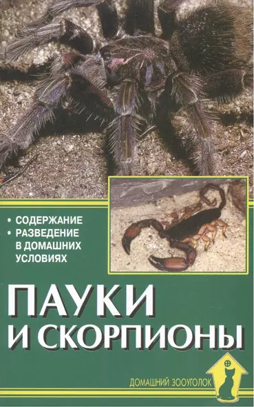 Пауки и скорпионы. Содержание. Разведение в домашних условиях - фото 1