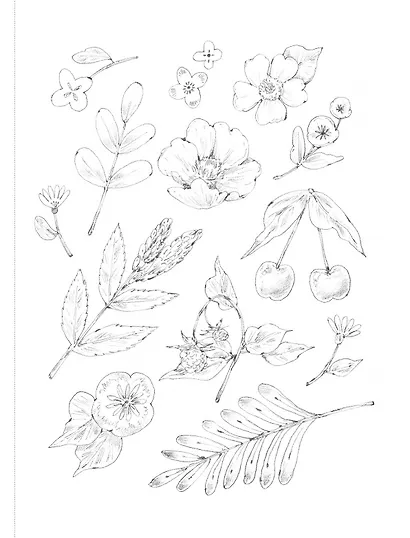 Наедине с собой. Эмоционально-исцеляющая раскраска Aeppol - фото 14