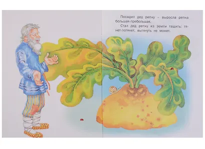 Репка - фото 2