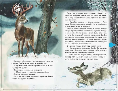 Бемби (+ музыка В.А. Моцарта, Л. ван Бетховена, Шопена Ф.) - фото 9