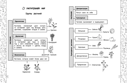 Окружающий мир в схемах, таблицах, рисунках - фото 4