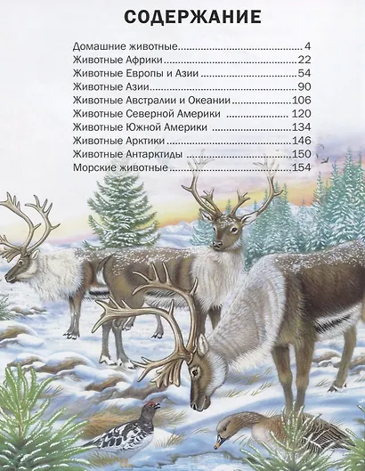 Самая красивая энциклопедия животных - фото 6