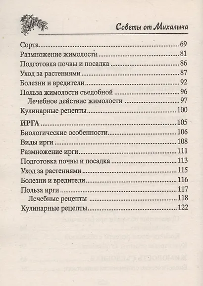 Облепиха, жимолость, ирга - фото 3