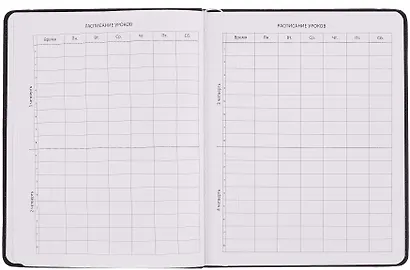 Дневник шк. "Сегодня меня ждали большие дела" универс.блок, иск.кож., шелкография, отстрочка, ляссе - фото 4