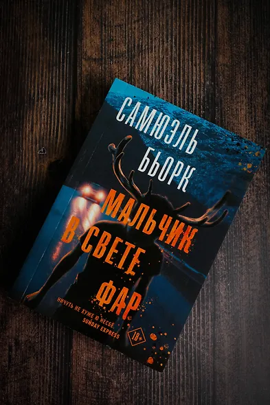 Мальчик в свете фар - фото 3