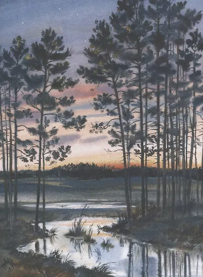 Лесное ожерелье. Рассказы о природе . Илл. Е. Чарушиной-Капустиной - фото 4