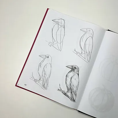 Суперкурс по рисованию. Простые зарисовки - фото 4