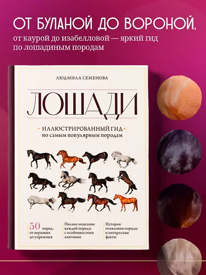 Лошади. Иллюстрированный гид по самым популярным породам - фото 4